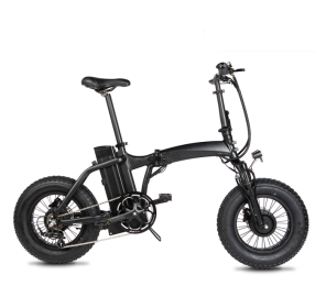 Dual-Drive Fat Tire E-bike sport