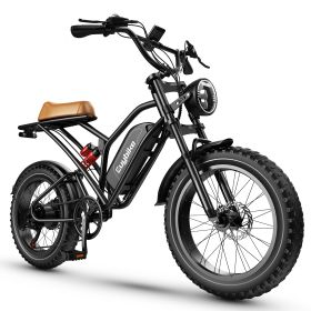 EUY S4 1000W 48V 20AH electric bike 20 inch fat tire bicycle beach cruise e-bike all terrain off-road ebike for Adults