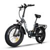 HOT SALE ZHENGBU EUY F7 20 Inch Step Through E-bike 750W 48V 16AH ebike Shimano 7 Speed Folding E Bike Fat Tire Electric Bike